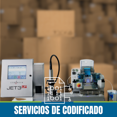 Servicios de codificado